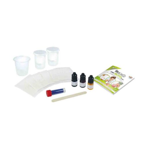 Mini Slime Lab - Image 2
