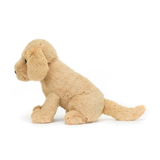 Tilly Golden Retriever - Image 2