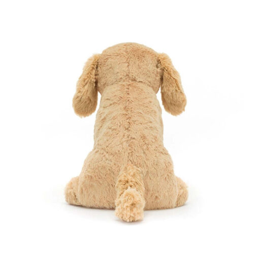 Tilly Golden Retriever - Image 3
