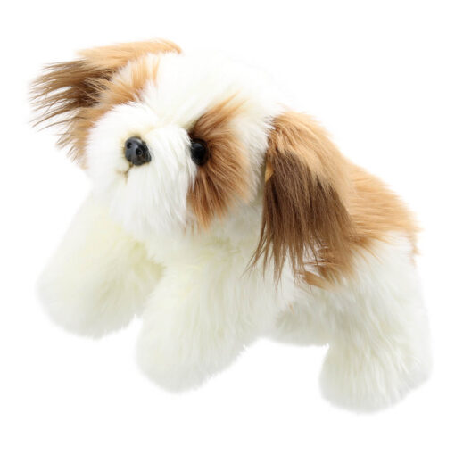 Brown & White dog Full Bodied