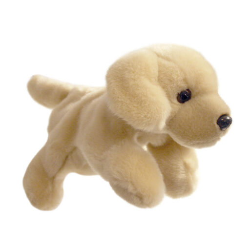 Labrador Full Bodied